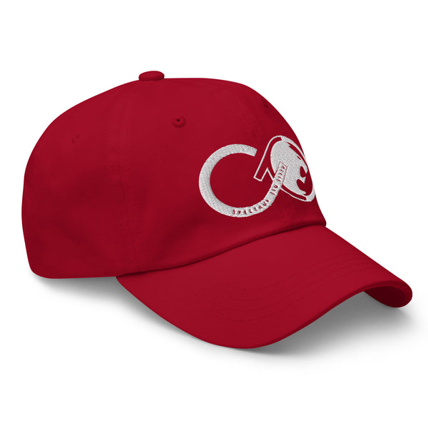 Lemniscate Hat